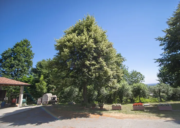 Agriturismo Turina Bricherasio